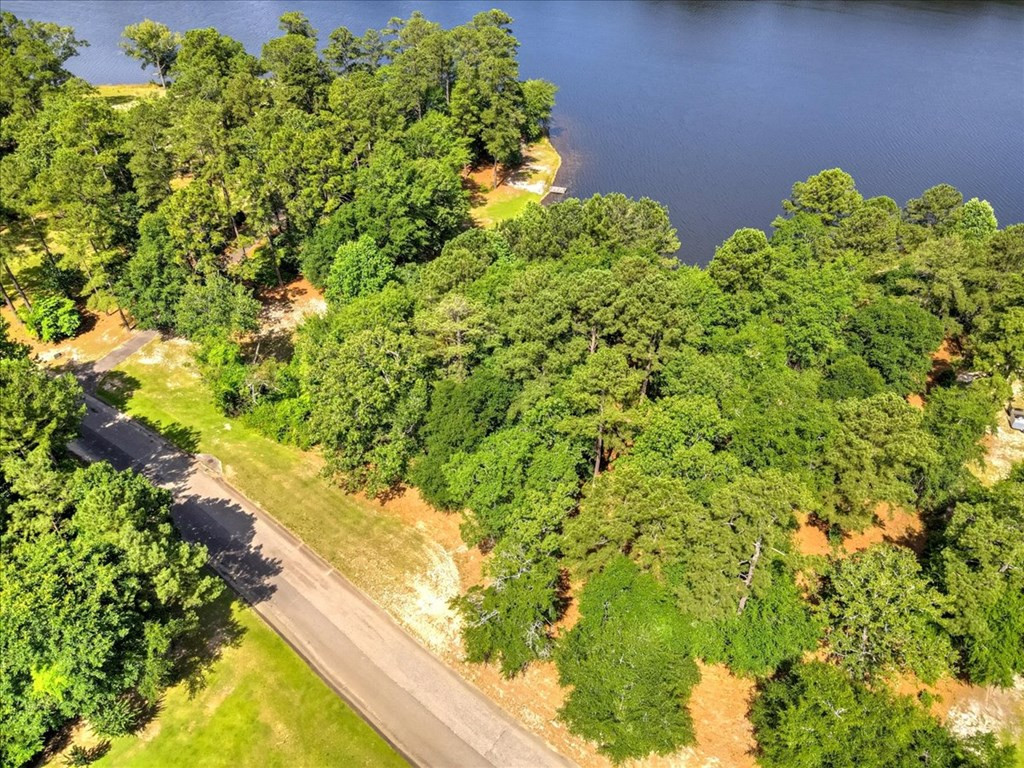 Lot 8 Wexford Mill Road Wagener, SC 29164 - Photo 3 of 14