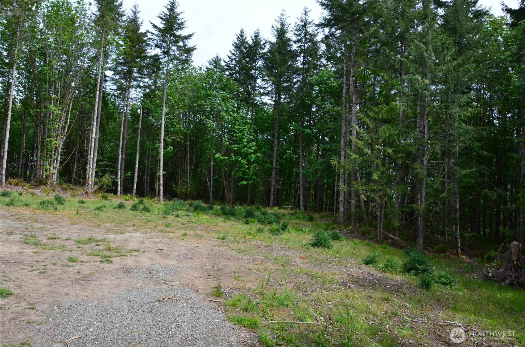 110 Country Ridge Road Chimacum, WA 98325 - Photo 9 of 9