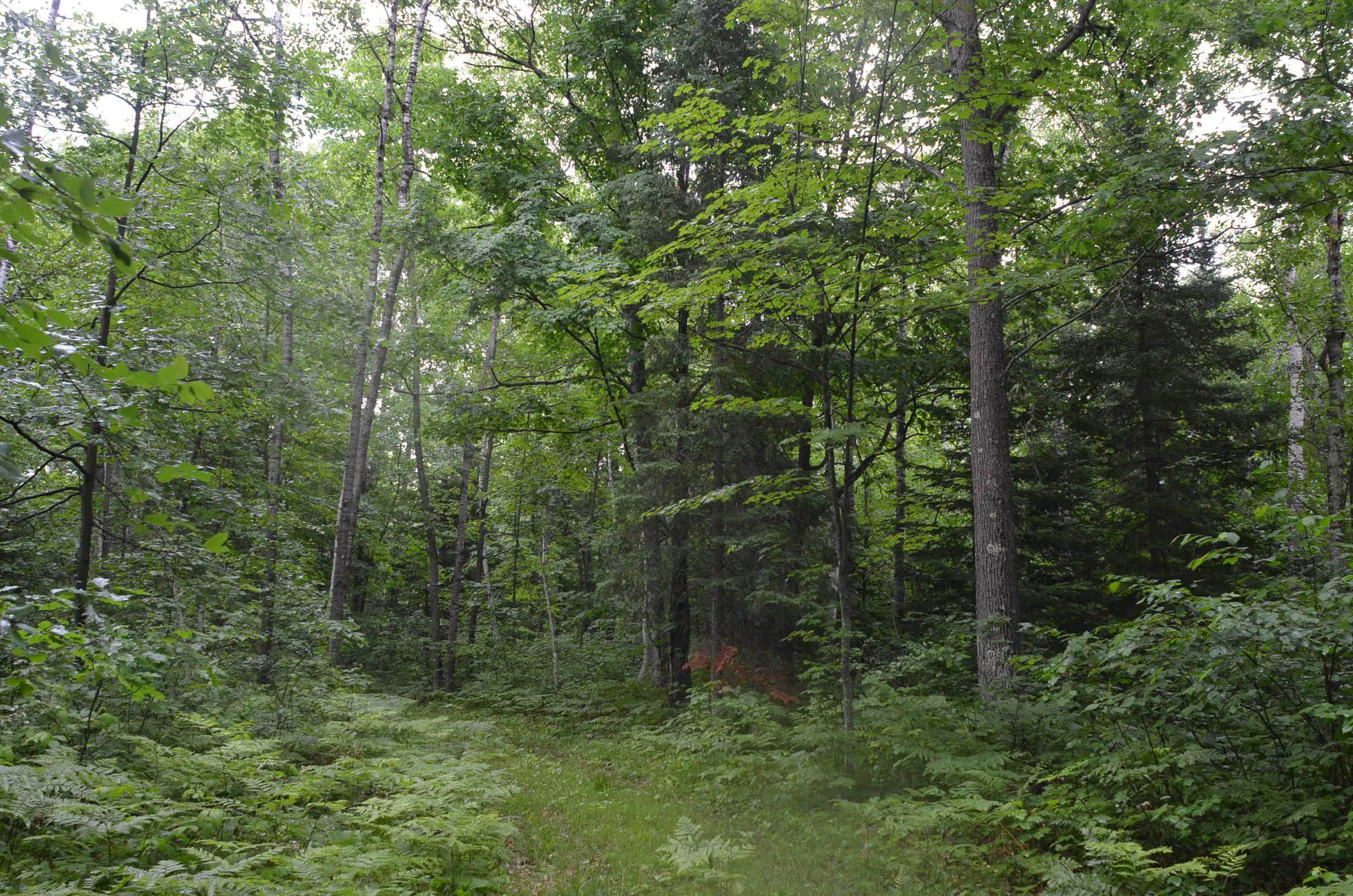 4140 Poskie Road Rhinelander, WI 54501 - Photo 17 of 58