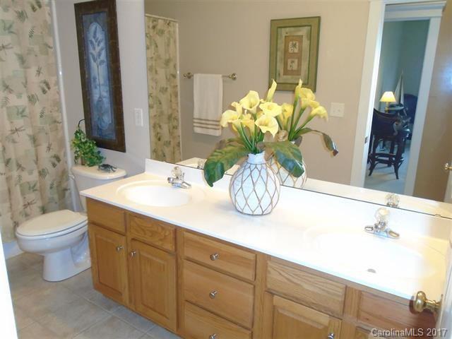 1512 Calvin Hall Road, Unit 161 Lake Wylie, SC 29710 - Photo 21 of 24 a bathroom with a sink a toilet and a mirror
