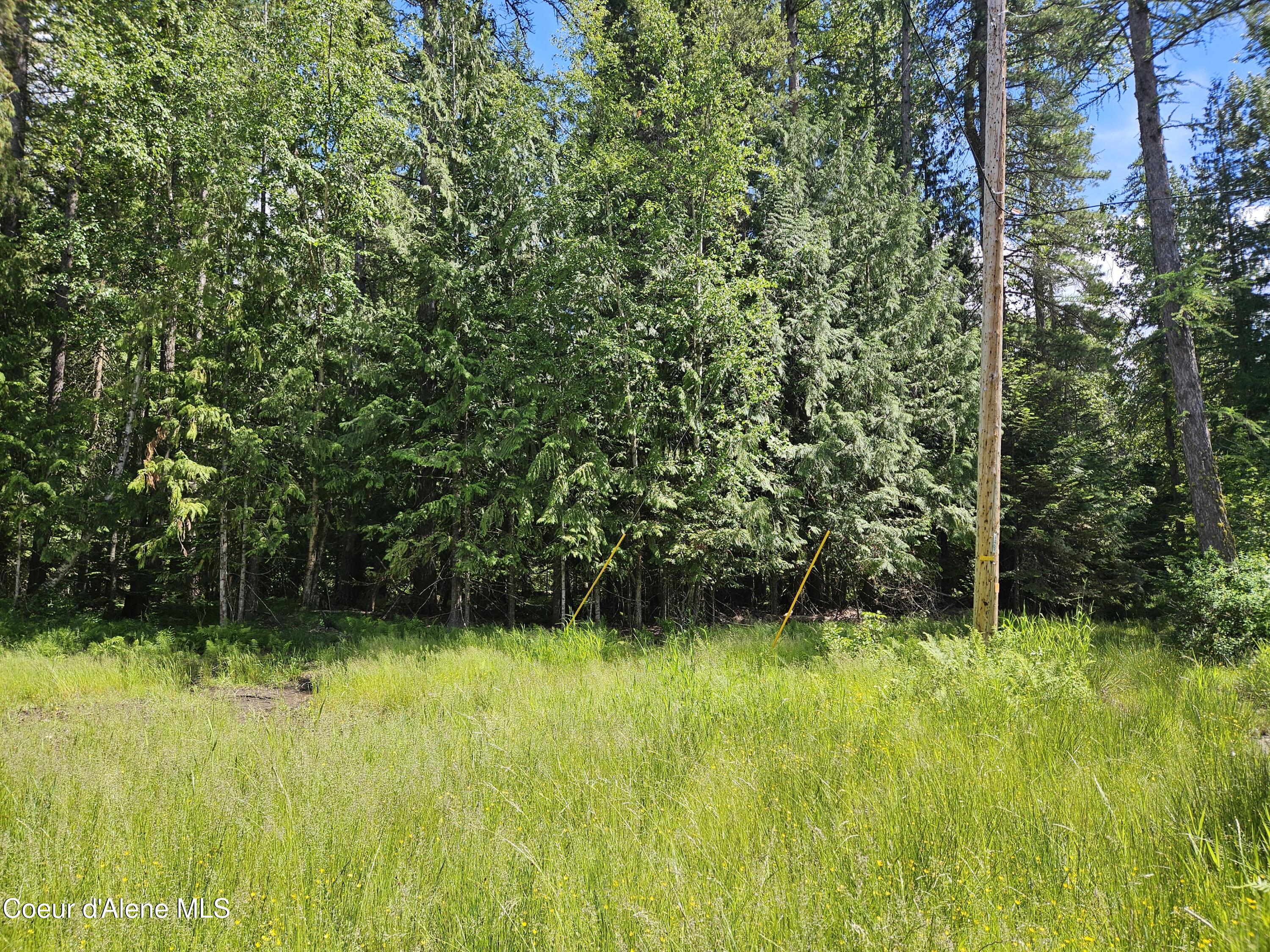 Nna Hickey Road Sandpoint, ID 83864 - Photo 14 of 22 12B