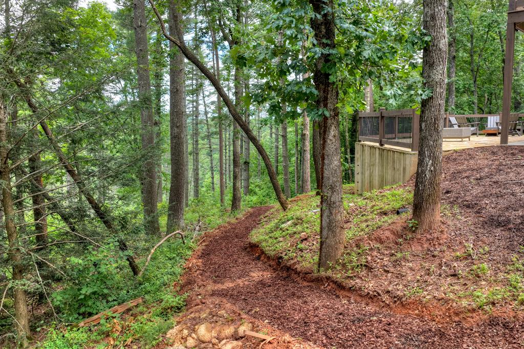 1312 Hicks Ford Road Ellijay, GA 30540 - Photo 90 of 95 Gallery Image 90