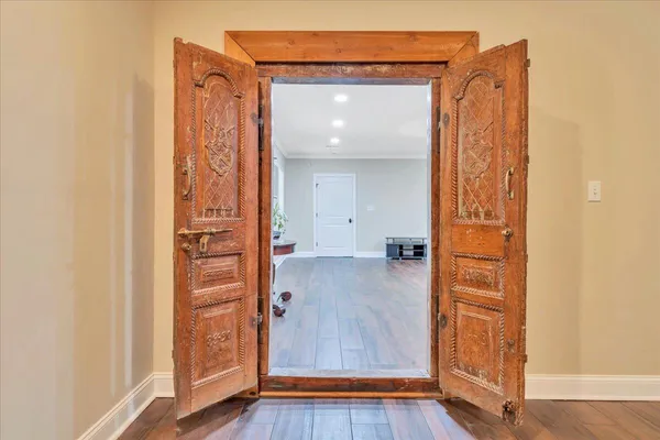 a view of a lush green forest with trees in the background