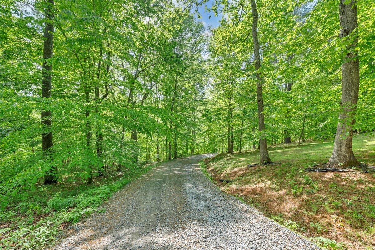 640 Flanders Road Callaway, VA 24067 - Photo 66 of 73 a view of backyard with green space