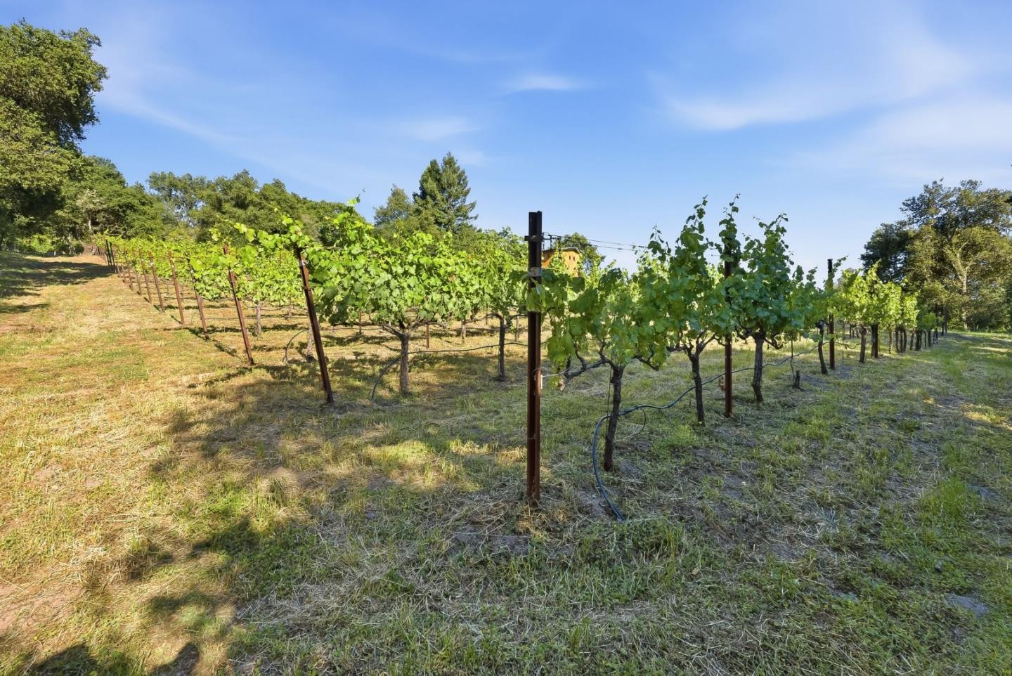 0 Miller Hill Road Los Gatos, CA 95033 - Photo 12 of 32 a view of an outdoor space