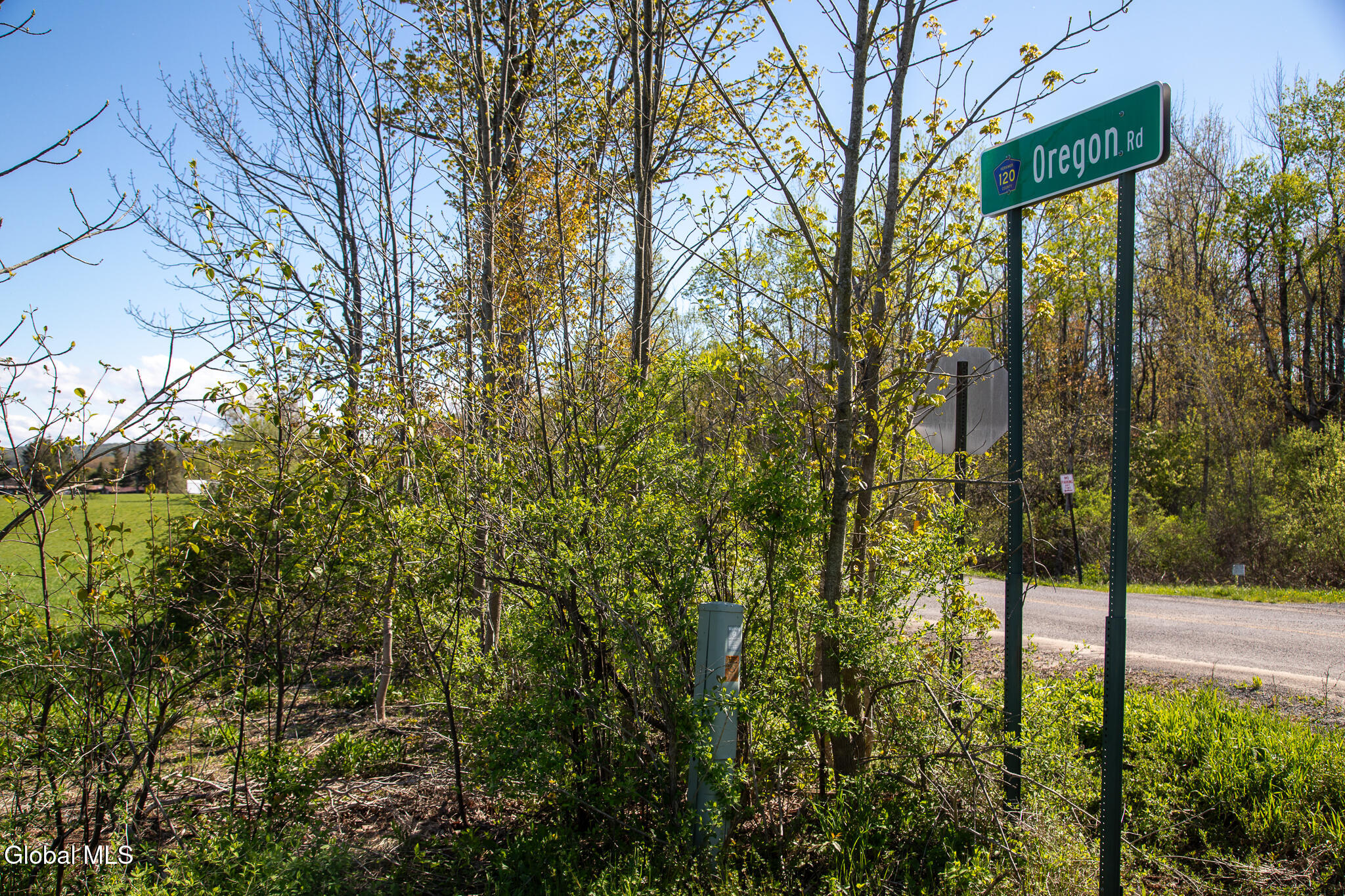 L1 Paines Hollow Road Mohawk, NY 13407 - Photo 14 of 15 176A6444