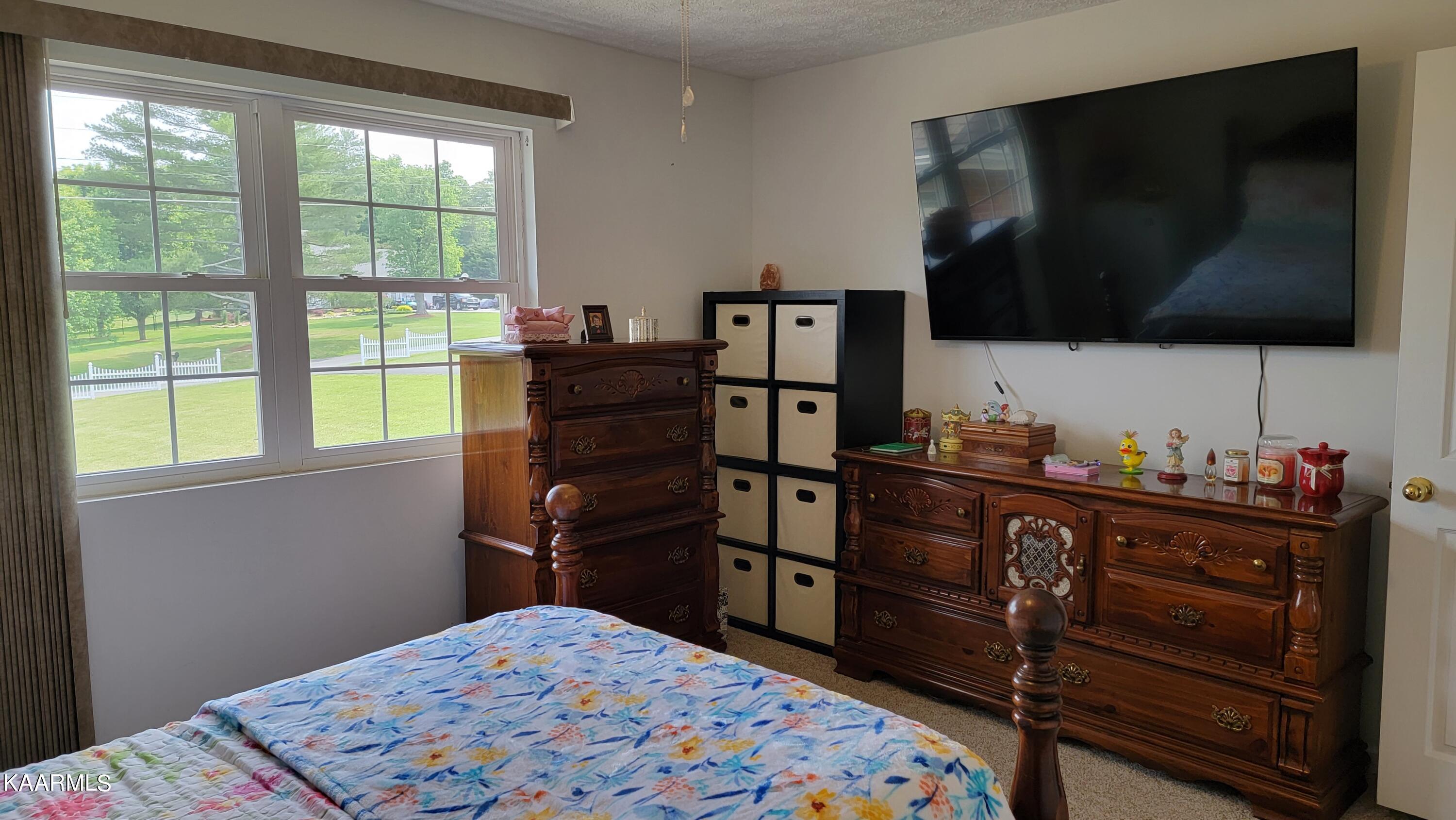 976 Coleman Road Tazewell, TN 37879 - Photo 39 of 42 BR 2