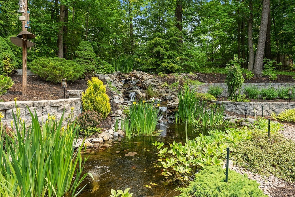 55 Rowley Hill Road Sterling, MA 01564 - Photo 39 of 42 a view of a garden with plants