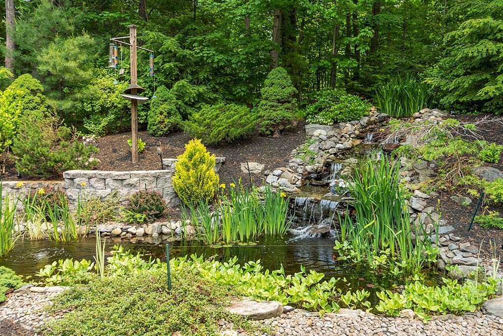 55 Rowley Hill Road Sterling, MA 01564 - Photo 40 of 42 a close up of a garden