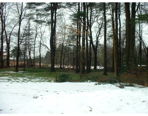 29 Orchard Road East Longmeadow, MA 01028 - Photo 3 of 5 Gallery Image 3