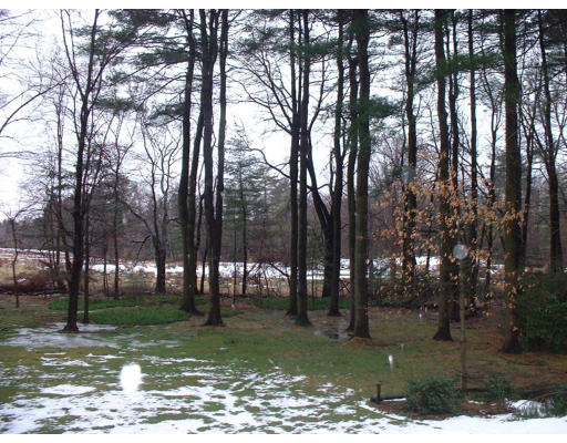 29 Orchard Road East Longmeadow, MA 01028 - Photo 4 of 5 Gallery Image 4