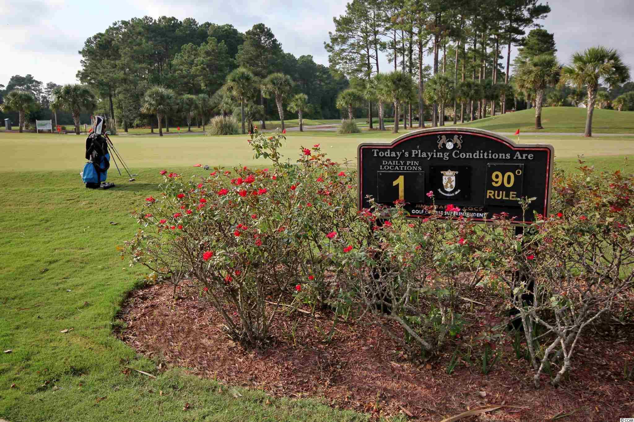 224 Whitchurch Street Murrells Inlet, SC 29576 - Photo 33 of 38 Gallery Image 33