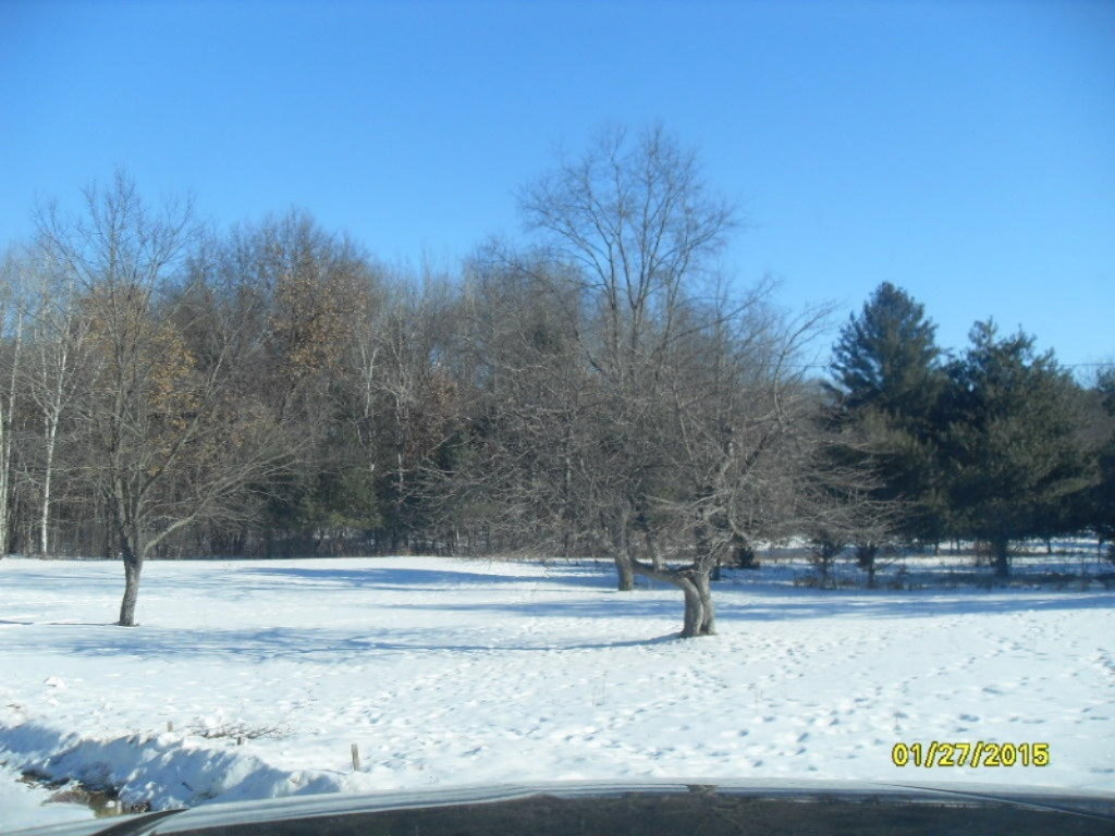2751 19 Mile Road Marion, MI 49665 - Photo 15 of 17 SDC18330