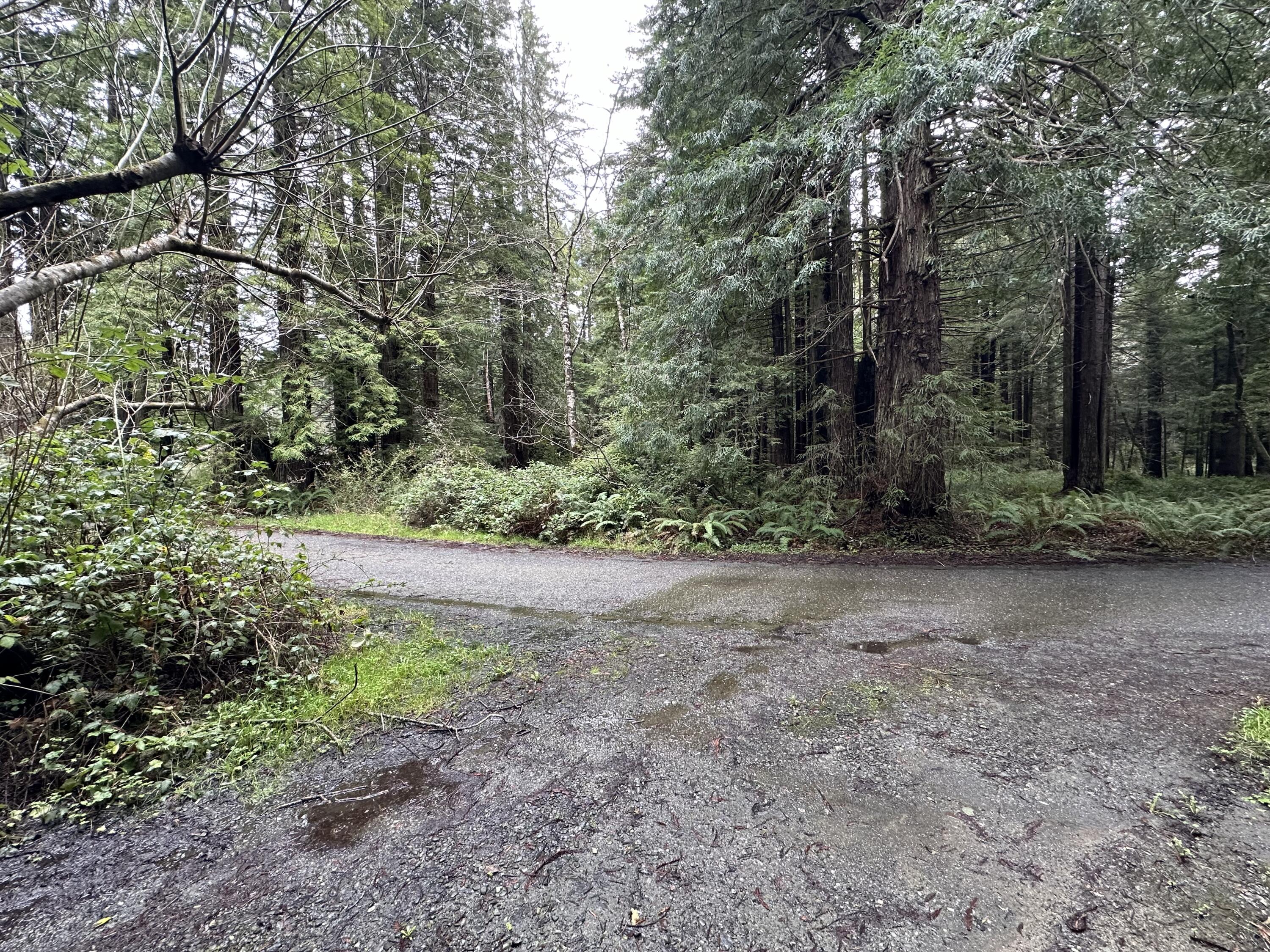 313-297 Quarry Road Trinidad, CA 95570 - Photo 40 of 46