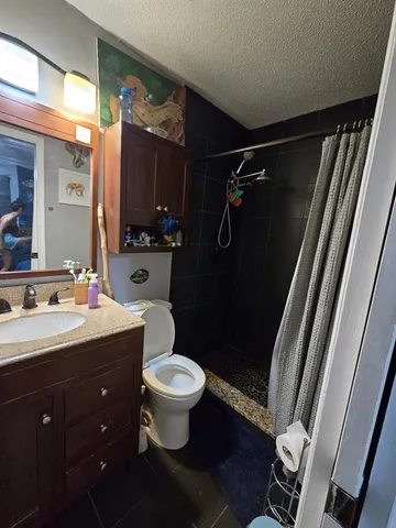 a bathroom with a sink toilet a mirror and shower