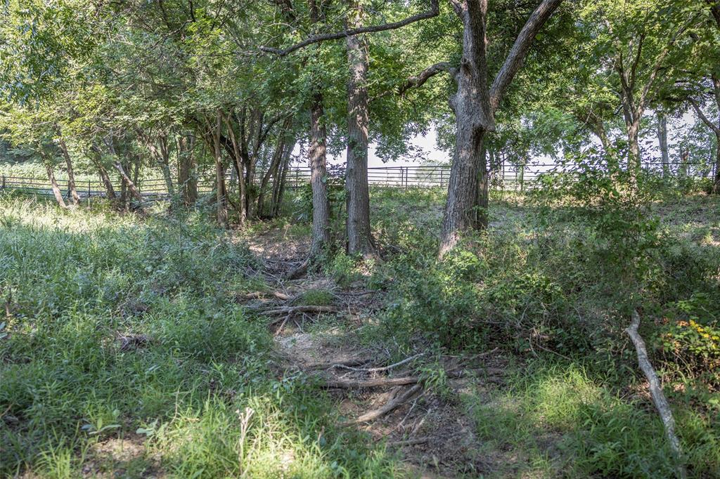 401 Dixon Road Aledo, TX 76008 - Photo 6 of 10 a view of forest