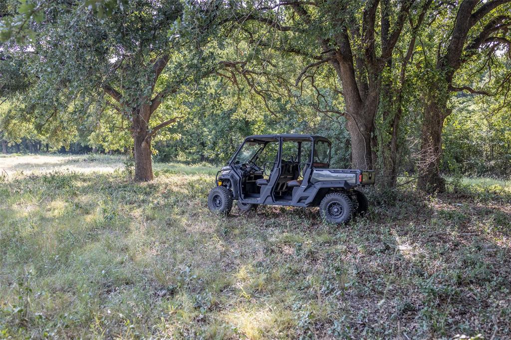 401 Dixon Road Aledo, TX 76008 - Photo 7 of 10 a view of backyard with large trees