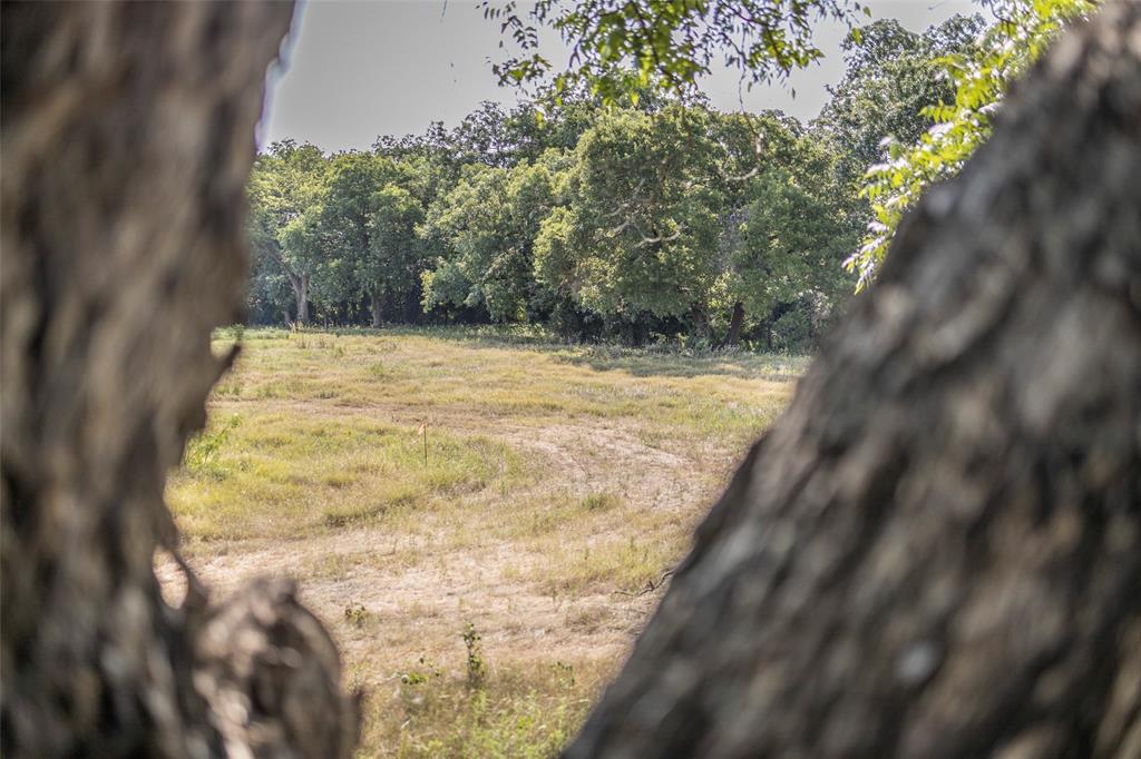 401 Dixon Road Aledo, TX 76008 - Photo 8 of 10 a bathroom with a tree