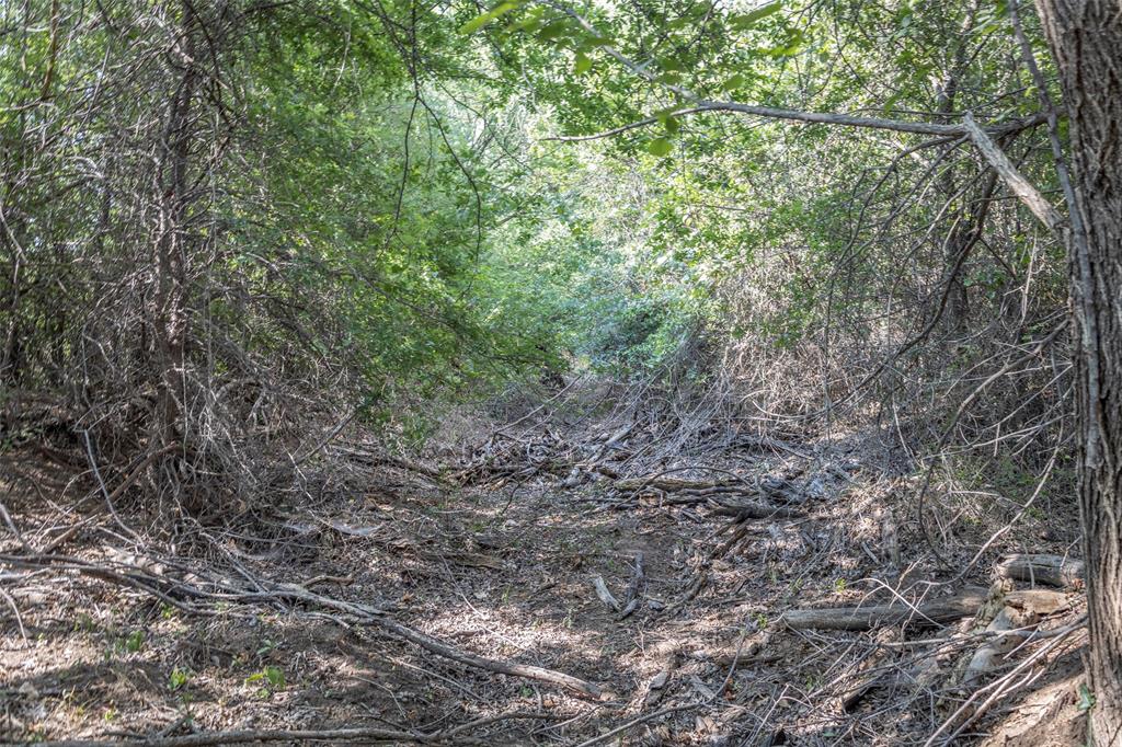 401 Dixon Road Aledo, TX 76008 - Photo 10 of 10 a view of a large yard with lots of trees