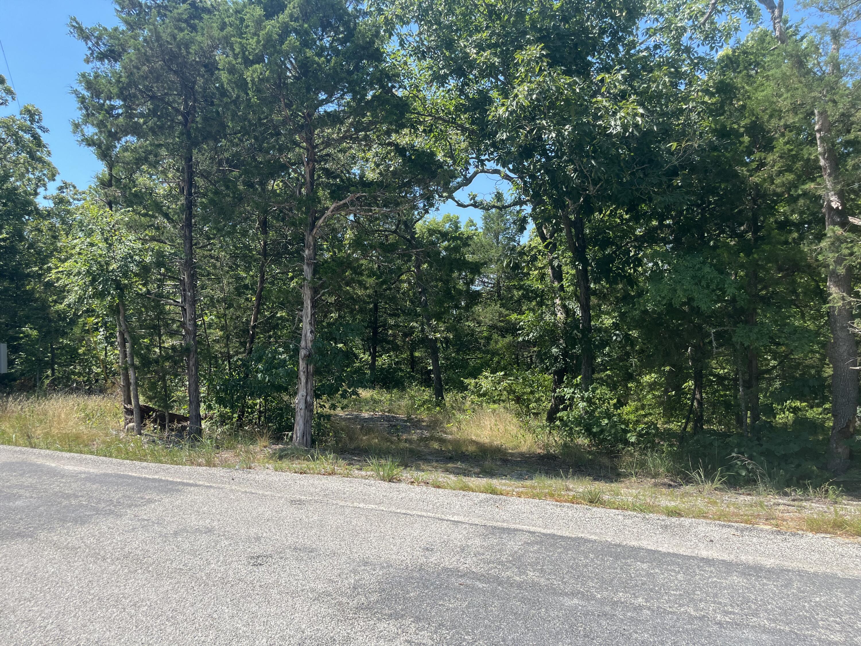 3387 Pine Top Road Hollister, MO 65672 - Photo 1 of 1 IMG_7299