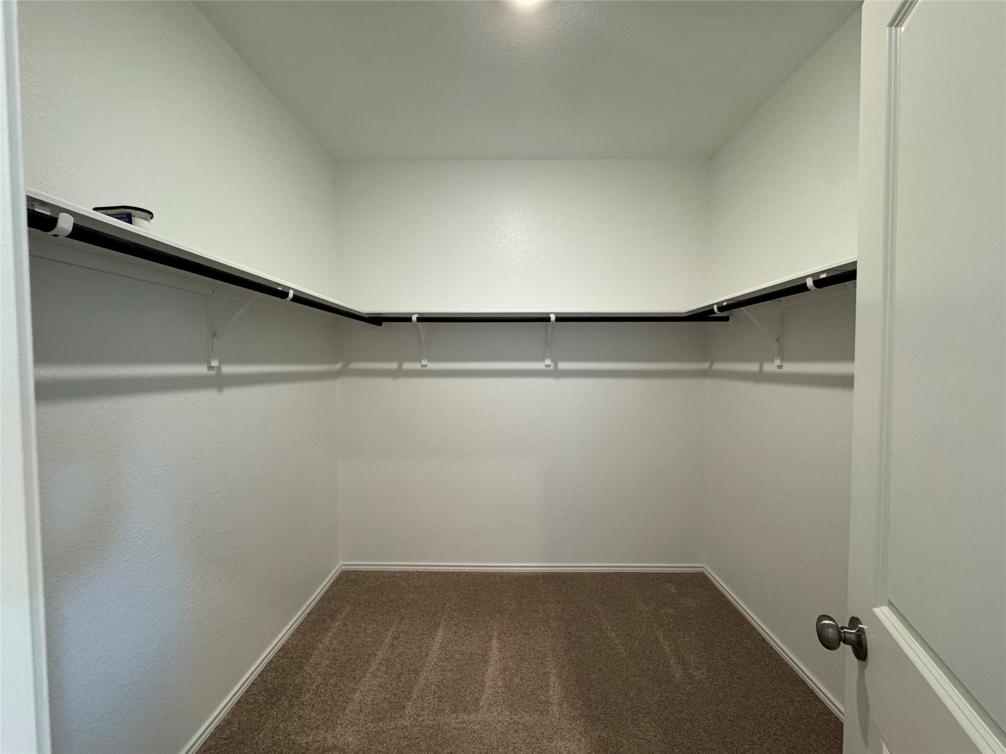 203 Tufted Duck Path Kyle, TX 78640 - Photo 11 of 19 Walk in closet with dark colored carpet