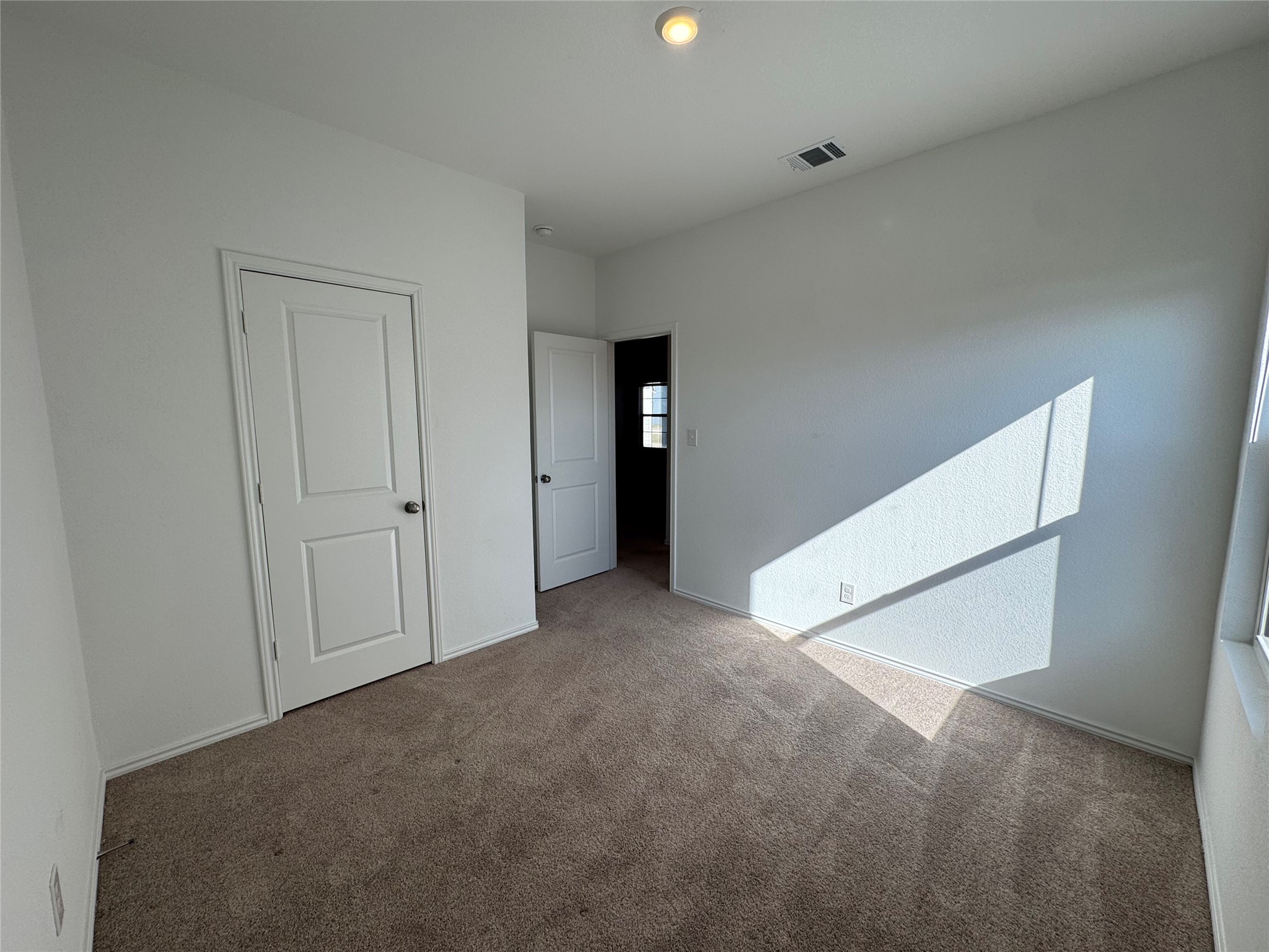 203 Tufted Duck Path Kyle, TX 78640 - Photo 13 of 19 Unfurnished bedroom with carpet flooring and a closet