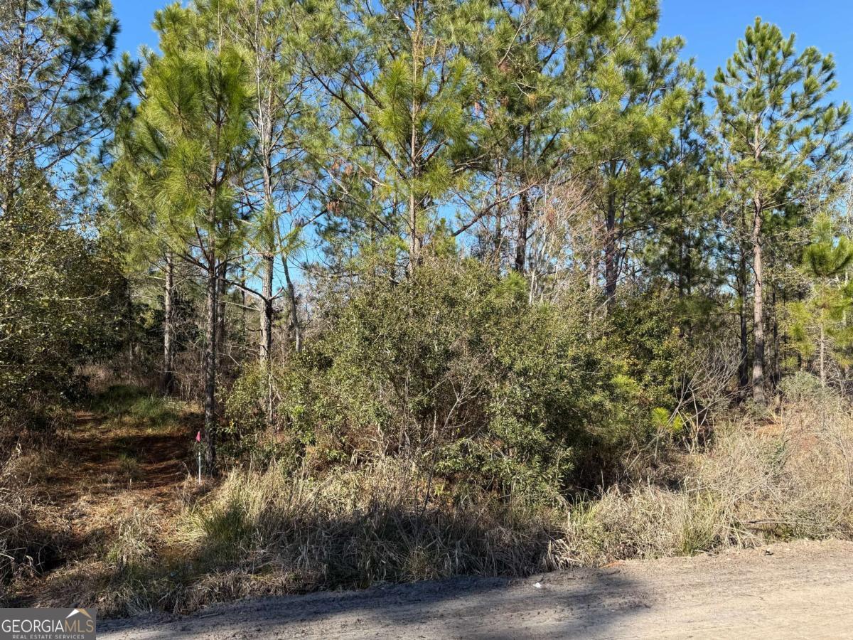 1 Elmer Thrift Road Waycross, GA 31503 - Photo 1 of 1 Gallery Image 1
