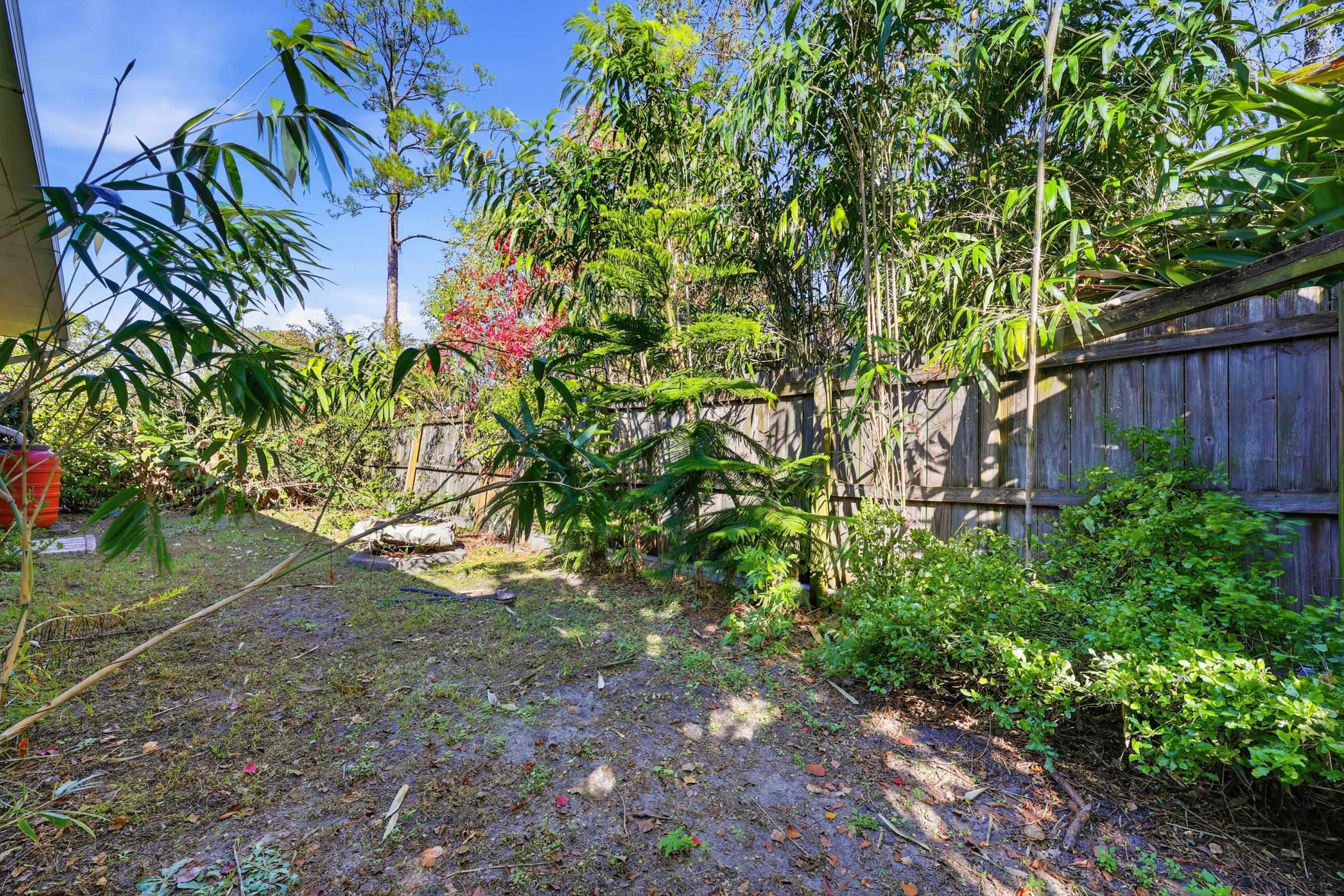 115 Segovia Road St. Augustine, FL 32086 - Photo 31 of 48 a view of a yard with plants and large trees
