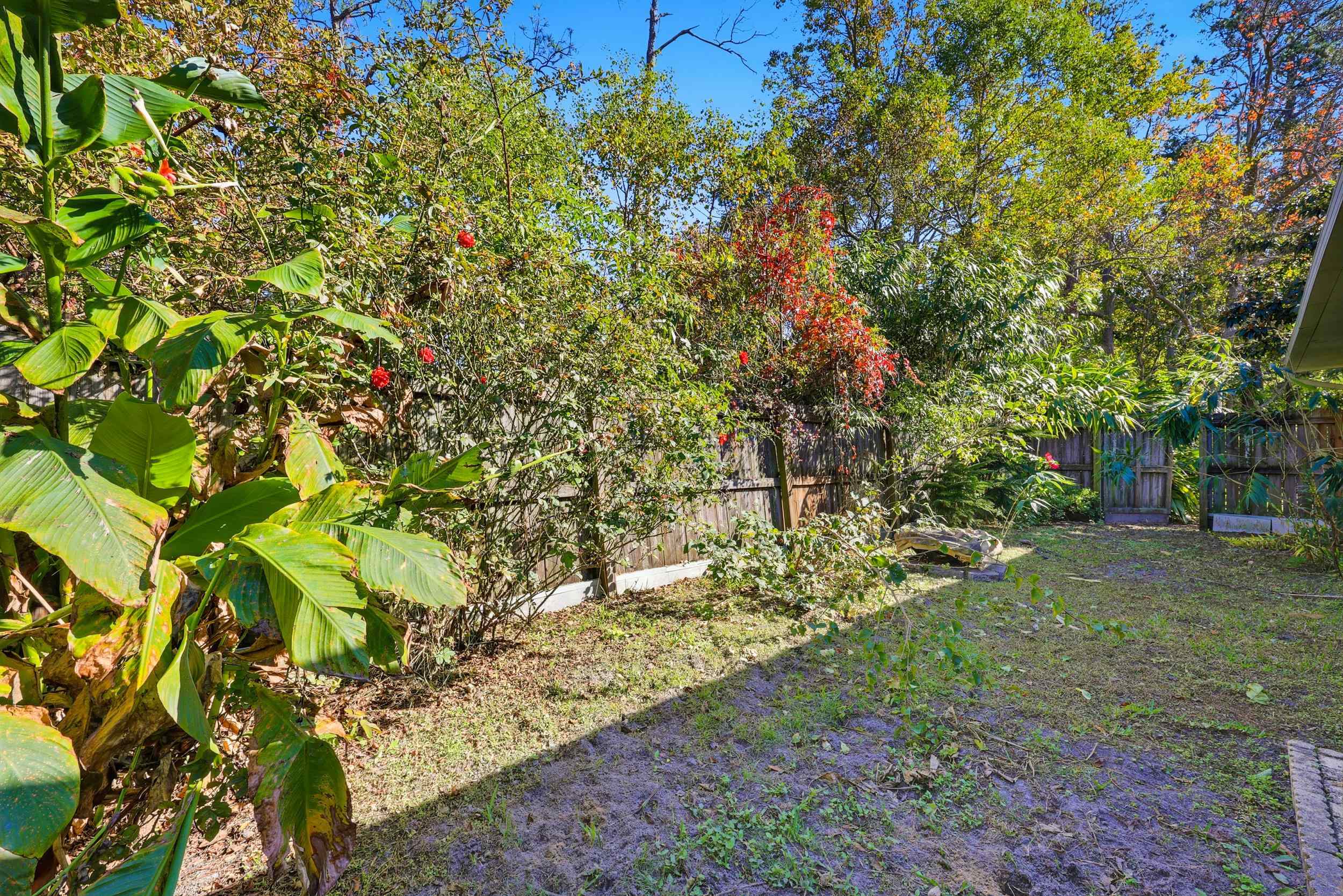 115 Segovia Road St. Augustine, FL 32086 - Photo 33 of 48 View of yard