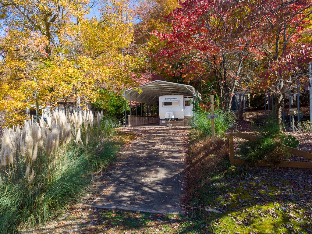66-186 Peaceful Loop Chatsworth, GA 30705 - Photo 18 of 31 a front view of a house with a yard