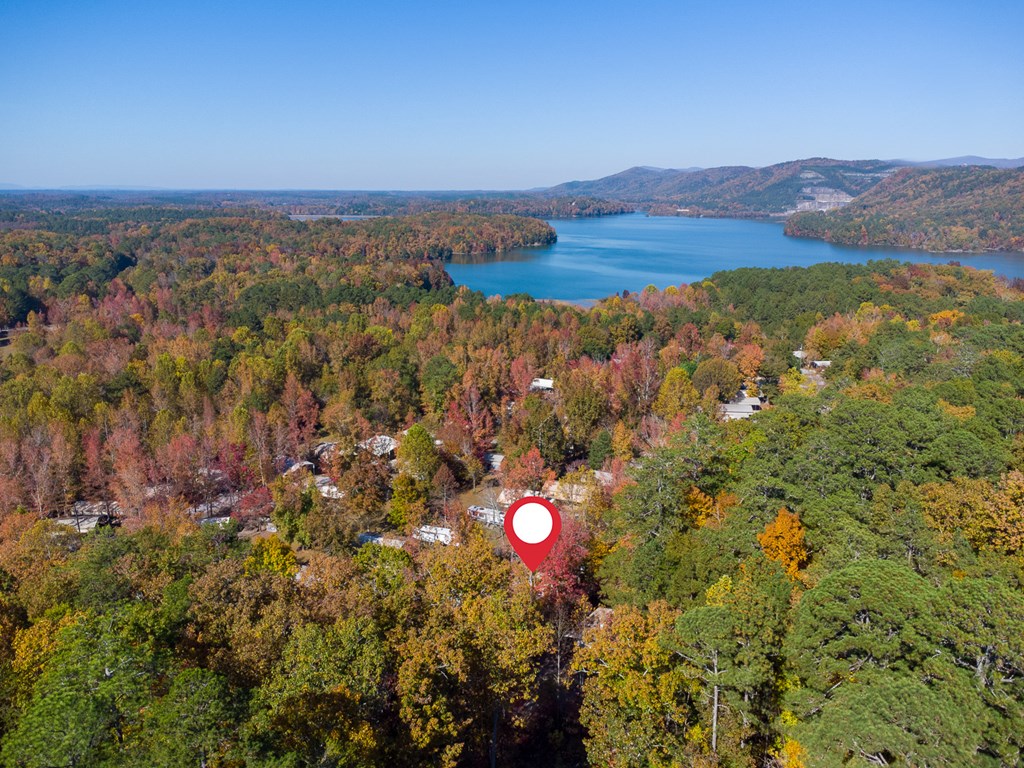 66-186 Peaceful Loop Chatsworth, GA 30705 - Photo 20 of 31 a view of lake and mountain