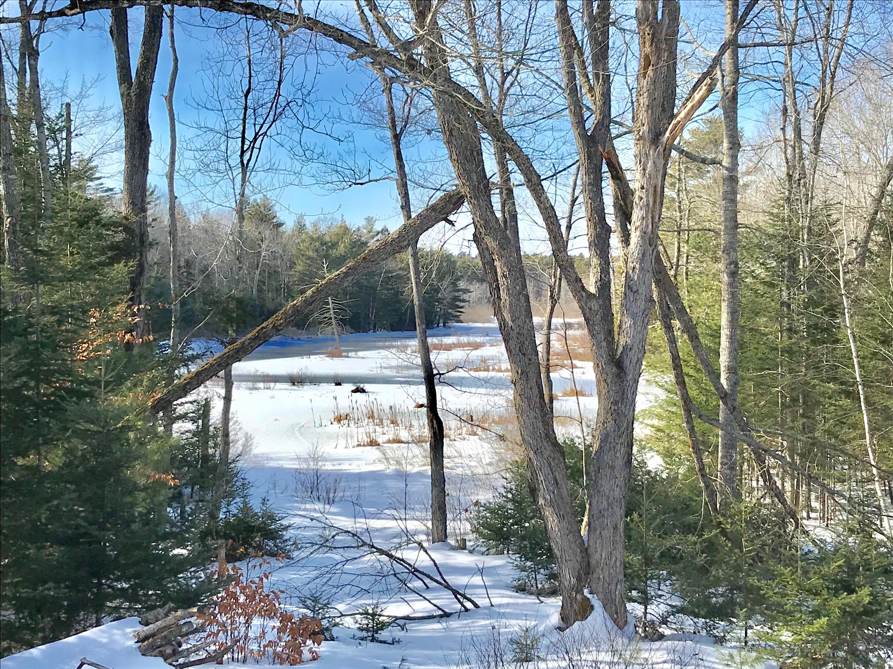 7 Front Ridge Road Orland, ME 04472 - Photo 4 of 8 IMG_2403