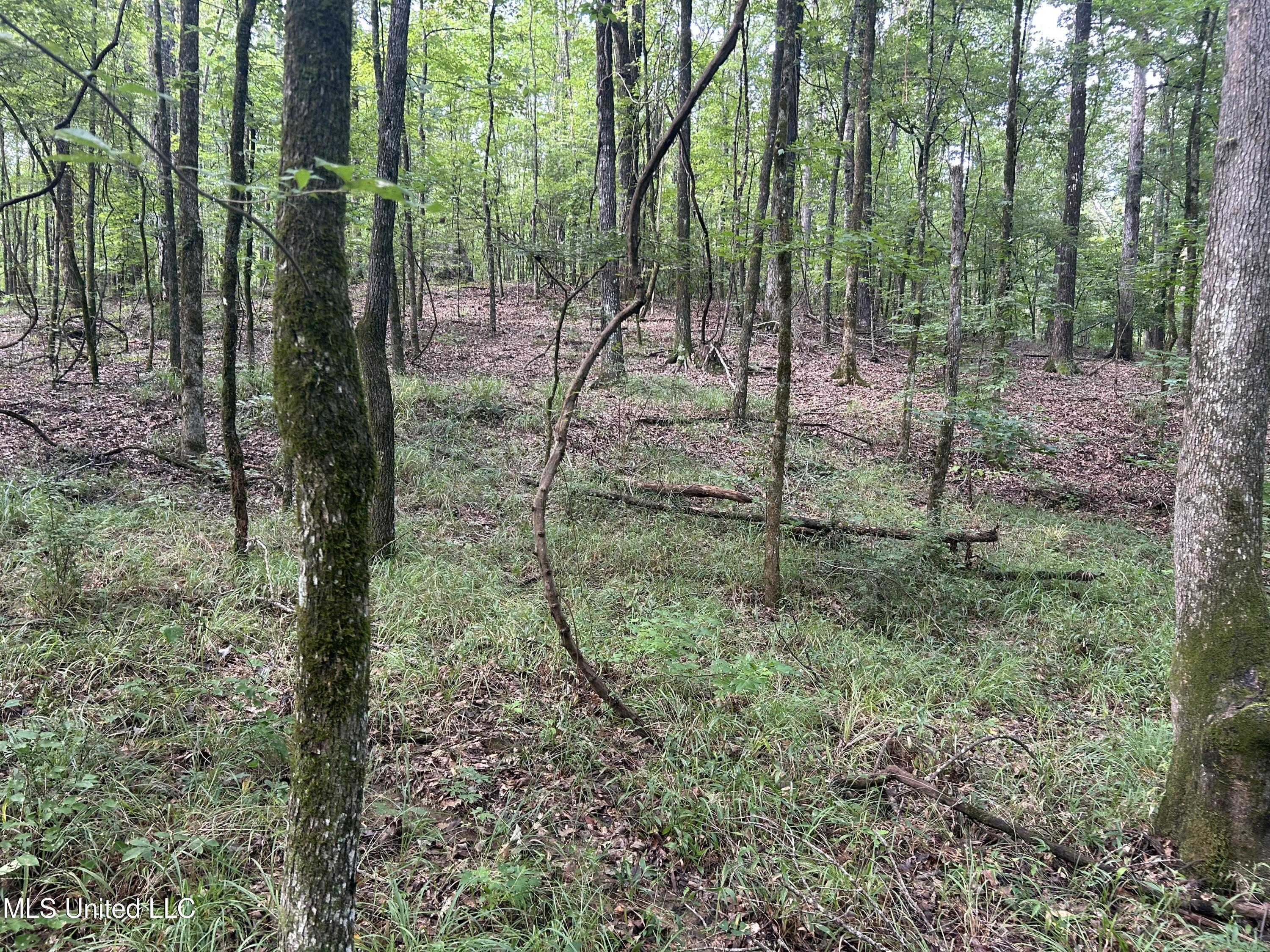 0 Raymond Road Hazlehurst, MS 39083 - Photo 5 of 14 IMG_9789