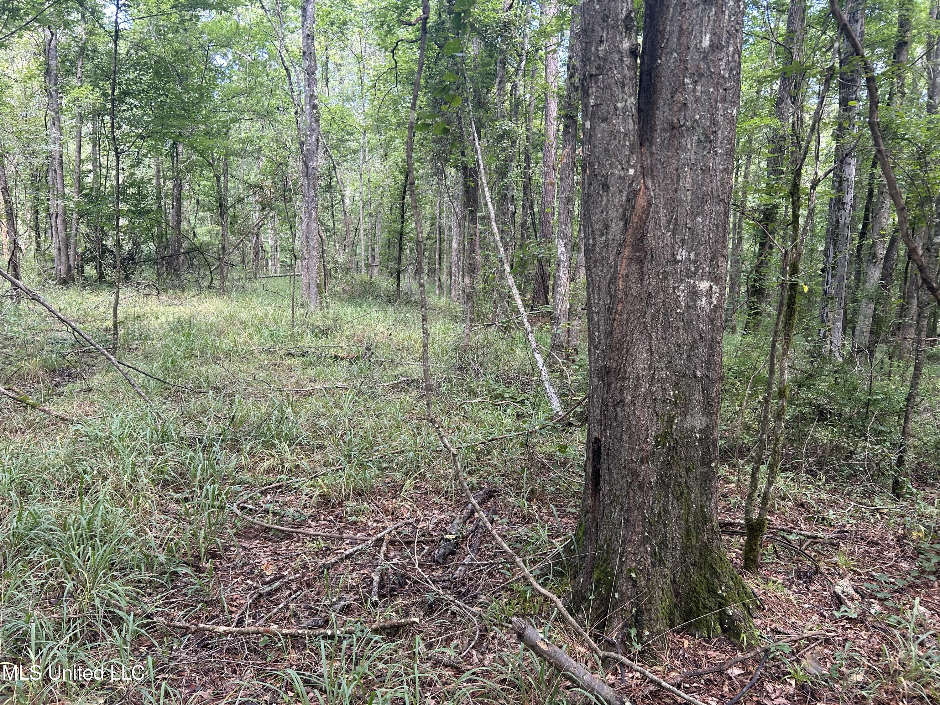 0 Raymond Road Hazlehurst, MS 39083 - Photo 6 of 14 IMG_9784