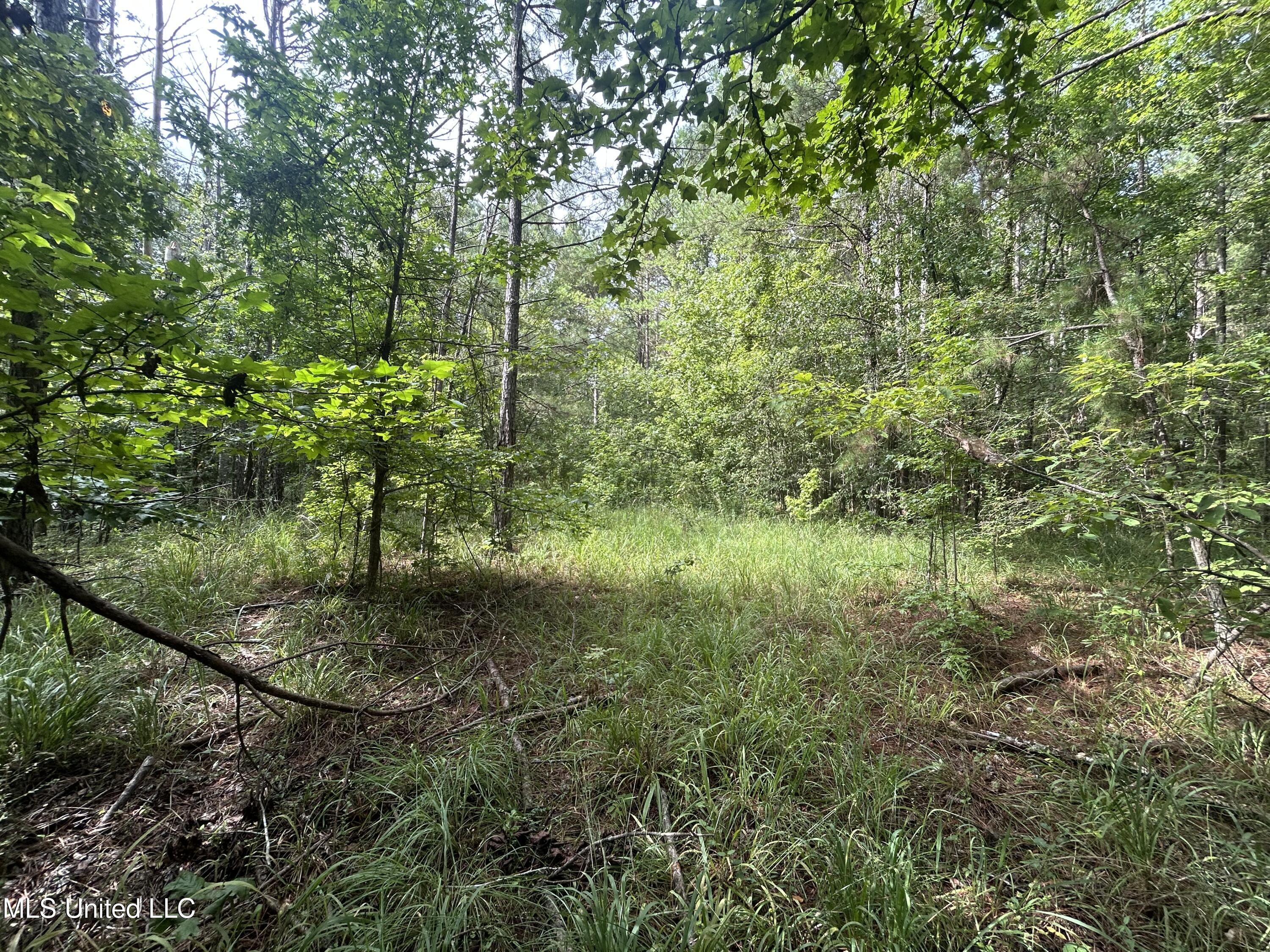 0 Raymond Road Hazlehurst, MS 39083 - Photo 10 of 14 IMG_9772