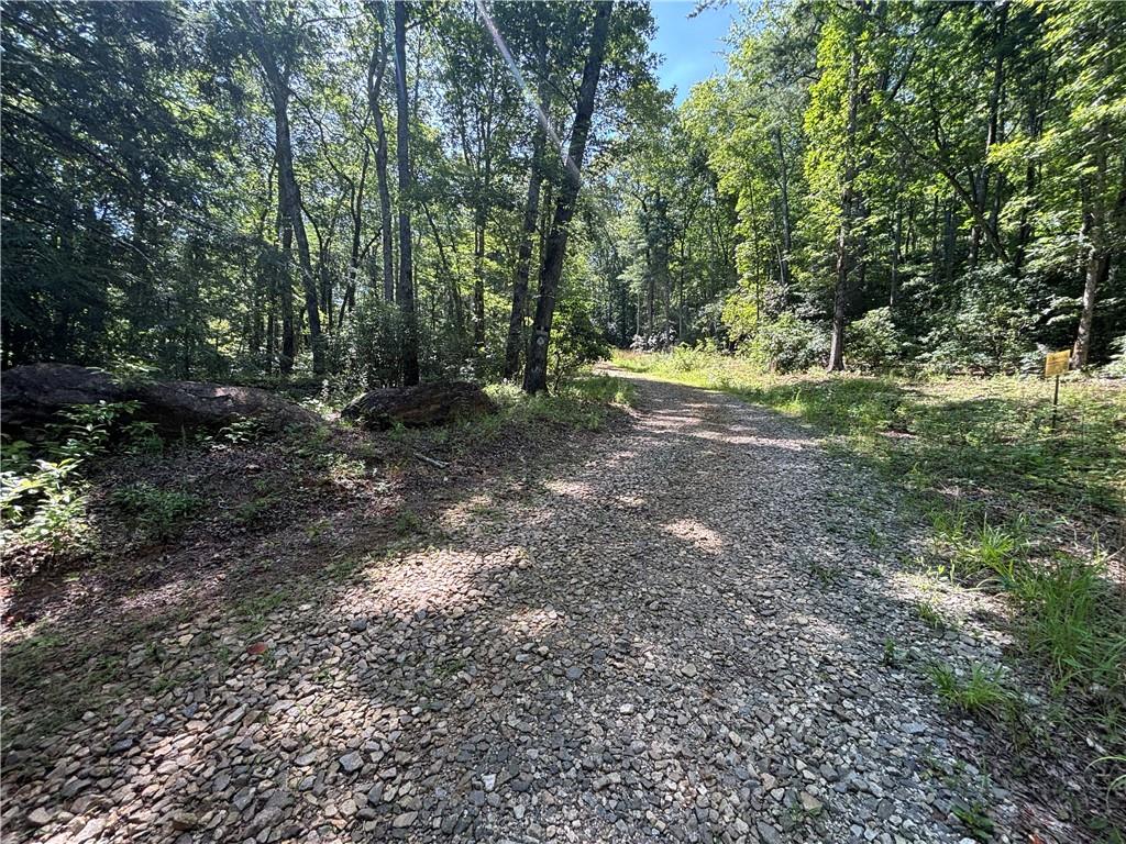 1038 Wilkins Cove Road Suches, GA 30572 - Photo 60 of 89