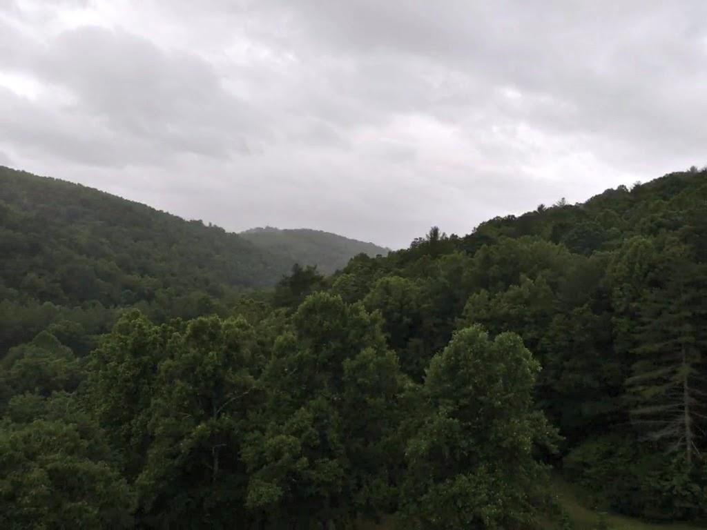 1952 Copperhead Hollow Road Butler, TN 37640 - Photo 13 of 63 IMG_7521