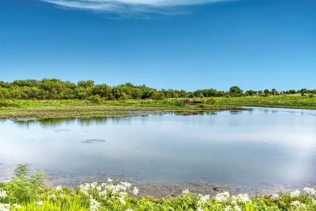 a view of a lake with houses in the back