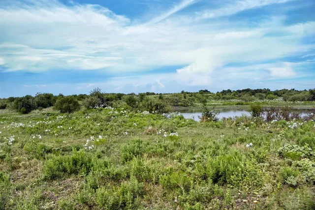 a view of a green field