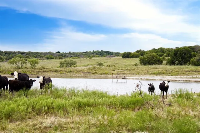a view of a lake with houses in the back