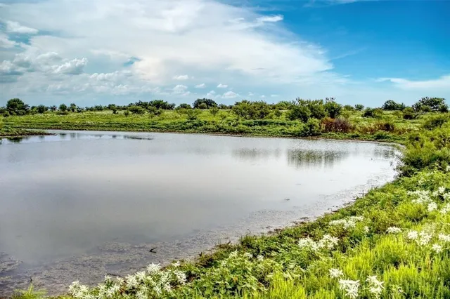a view of a lake with a city