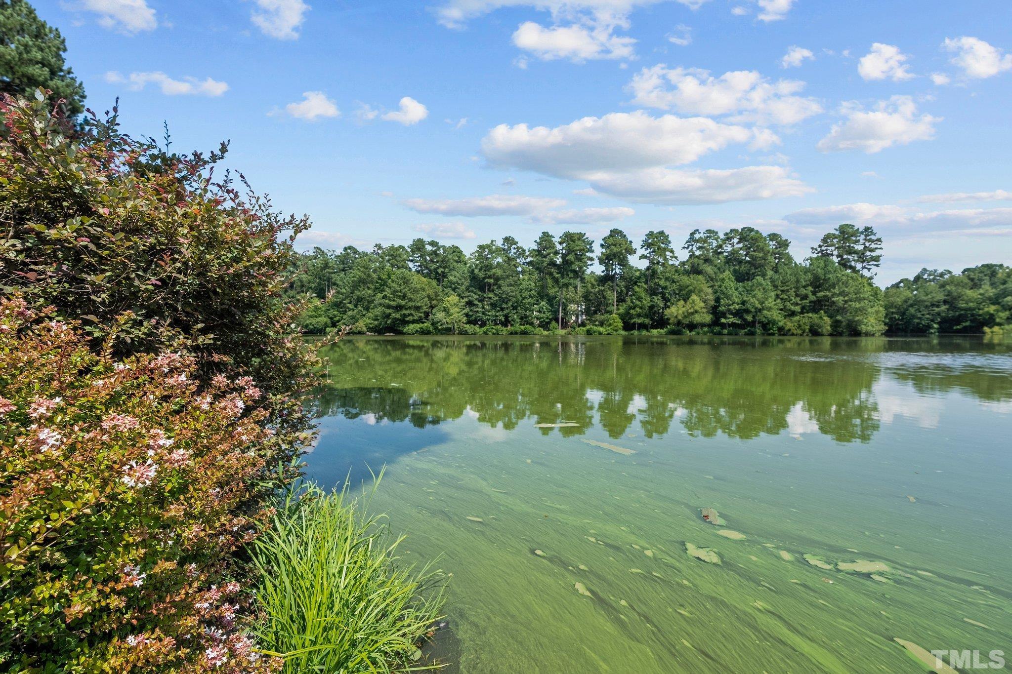 37 Lure Court Durham, NC 27713 - Photo 33 of 35 a view of a lake