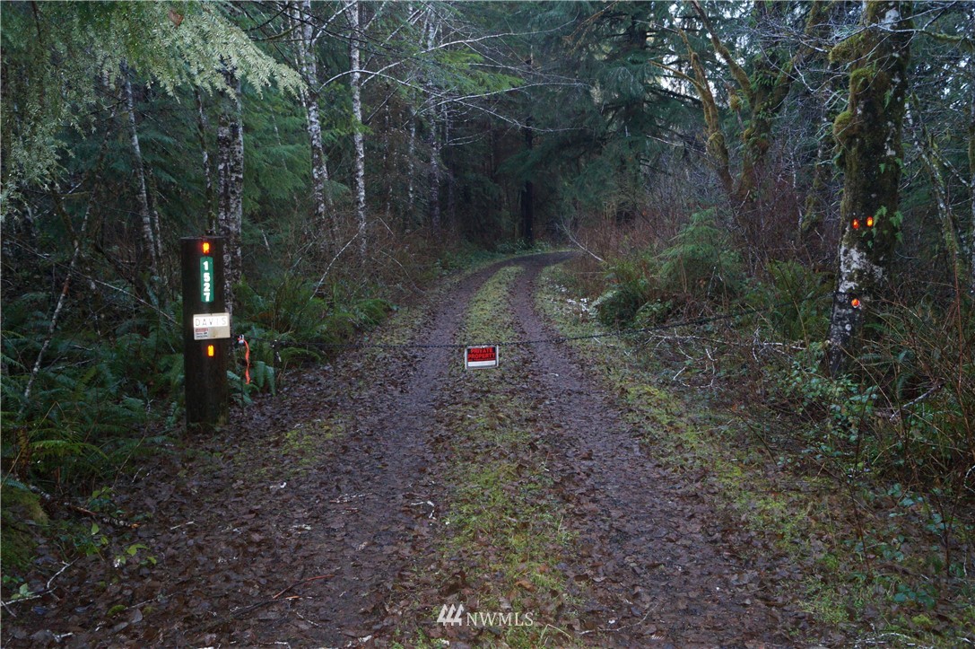 1527 Kirkpatrick Road Humptulips, WA 98550 - Photo 1 of 13 Gallery Image 1