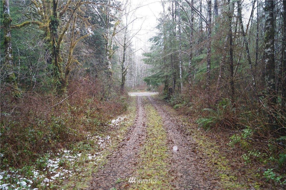 1527 Kirkpatrick Road Humptulips, WA 98550 - Photo 2 of 13 Gallery Image 2