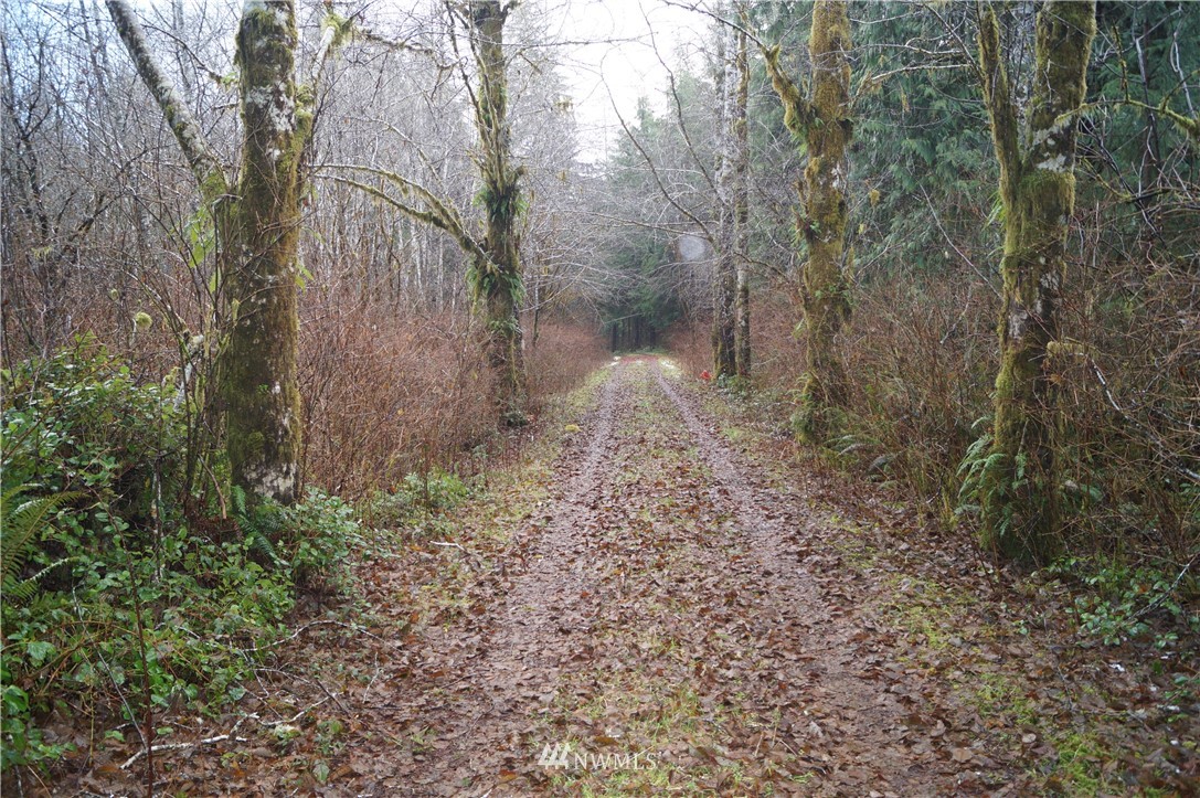 1527 Kirkpatrick Road Humptulips, WA 98550 - Photo 3 of 13 Gallery Image 3