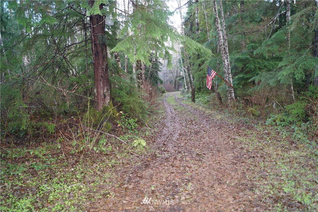 1527 Kirkpatrick Road Humptulips, WA 98550 - Photo 4 of 13 Gallery Image 4