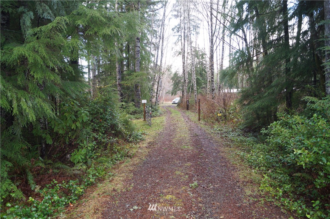 1527 Kirkpatrick Road Humptulips, WA 98550 - Photo 5 of 13 Gallery Image 5