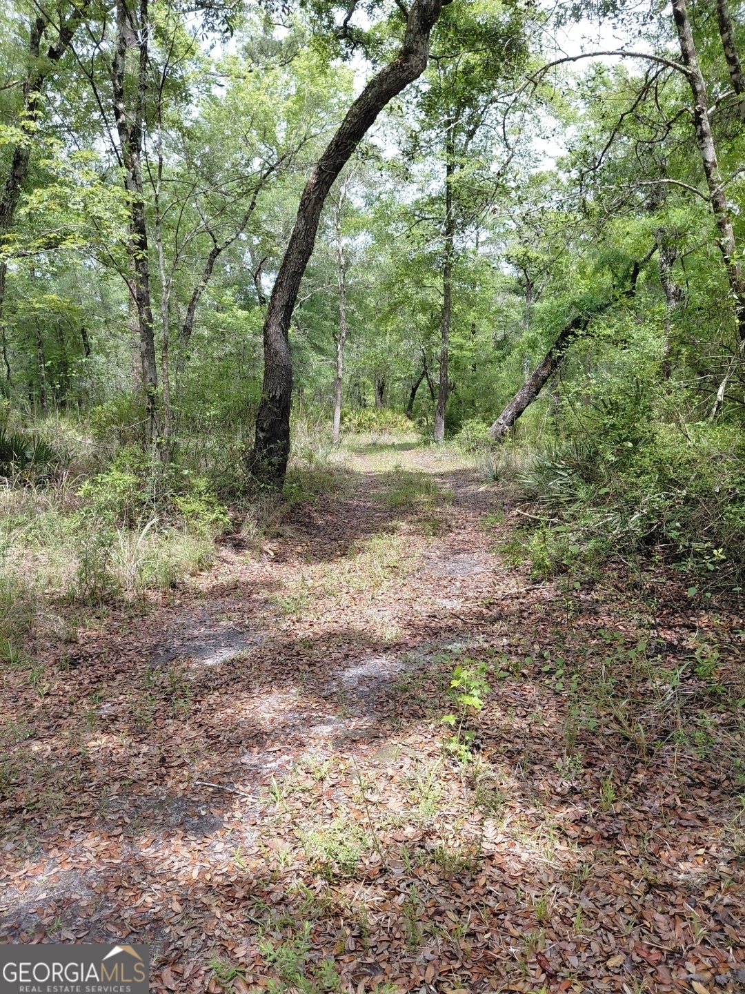 436 Russell Boulevard St. George, GA 31562 - Photo 22 of 33