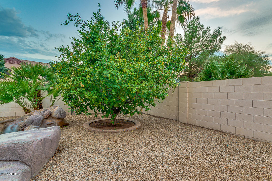 988 South Roles Drive Gilbert, AZ 85296 - Photo 65 of 72 67-Rolls