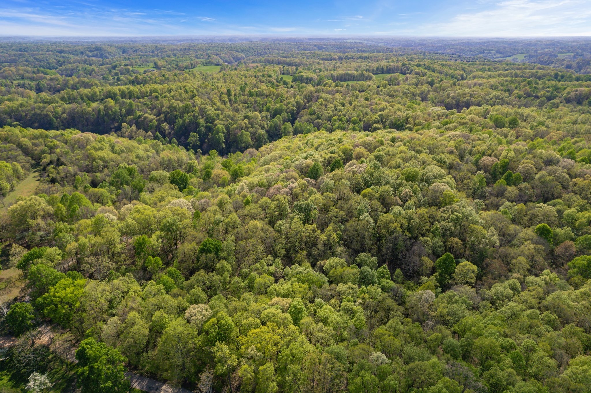 1555 Dog Hollow Road Lynnville, TN 38472 - Photo 2 of 23